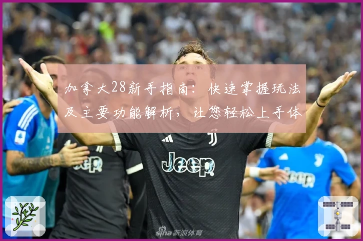 加拿大28新手指南：快速掌握玩法及主要功能解析，让您轻松上手体验