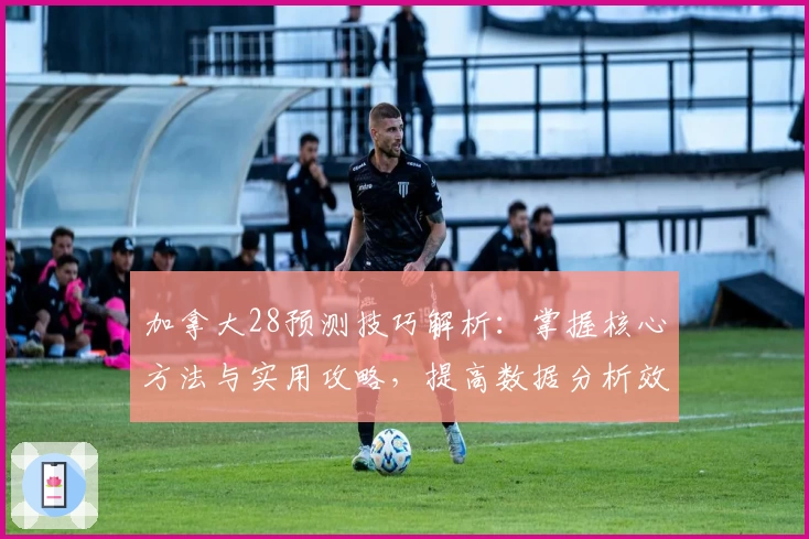 加拿大28预测技巧解析：掌握核心方法与实用攻略，提高数据分析效率