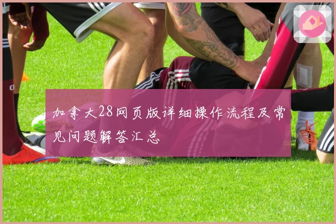 加拿大28网页版详细操作流程及常见问题解答汇总