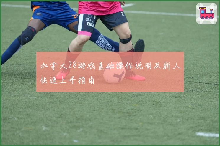 加拿大28游戏基础操作说明及新人快速上手指南