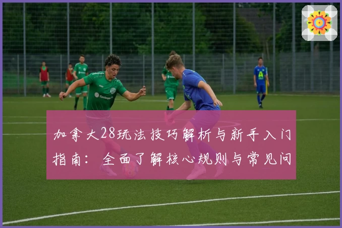 加拿大28玩法技巧解析与新手入门指南:全面了解核心规则与常见问题解答