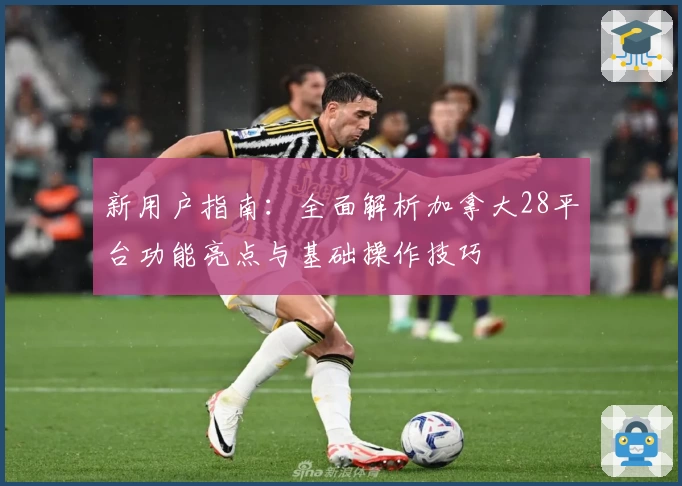 新用户指南:全面解析加拿大28平台功能亮点与基础操作技巧