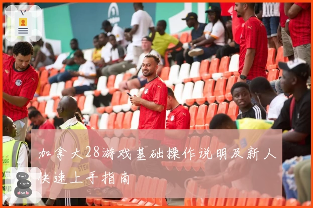 加拿大28游戏基础操作说明及新人快速上手指南