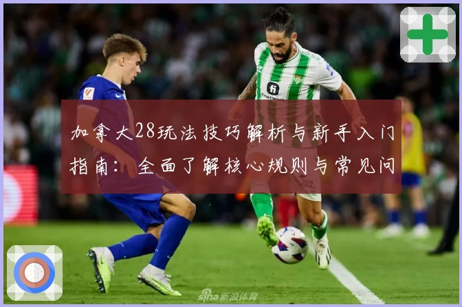 加拿大28玩法技巧解析与新手入门指南：全面了解核心规则与常见问题解答