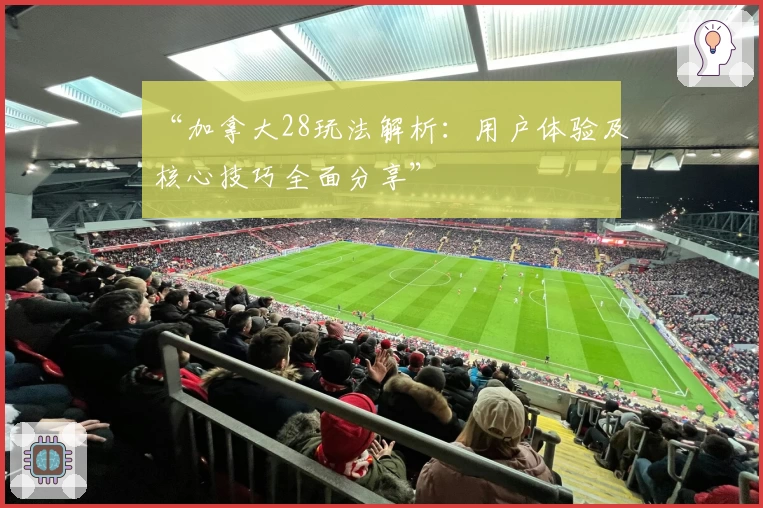 “加拿大28玩法解析：用户体验及核心技巧全面分享”